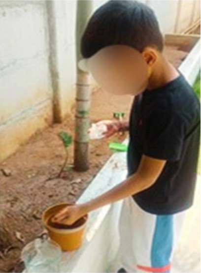 Children observing plants outdoors