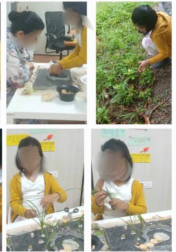 Children observing a pond ecosystem and studying plants